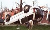 A very dirty Blarney, the old English Sheepdog is sitting in front of a scene of devastation, and he is tied with a rope through the broken windows of an overturned Sport Utility Vehicle.