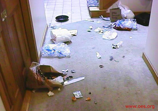 Trash bag ripped open and trash strewn about a hallway.