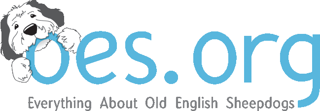 Old English Sheepdogs.org logo which reads Everything About Old English Sheepdgos