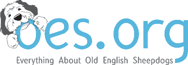 Everything about Old English Sheepdogs logo