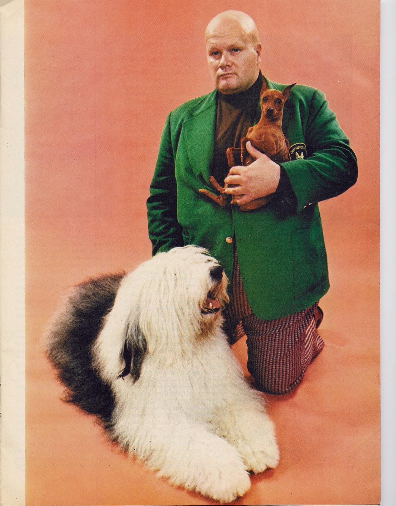 Bald Handler in a very 1970s green sport jacket holding a chijuajua.  Lying on the ground is the champion Old English Sheepdog Sir Lancelot of Barvan.