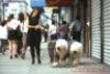 A woman walks her two Sheepdogs on a busy sidewalk in New York City