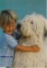 A little blond haired boy hugging a huge Old English Sheepdog, whose nose is at the same height as the boys face.  The boy is grimmacing, probably in reaction to a big sloppy wet kiss.